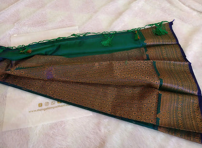 Traditional Indian Saree