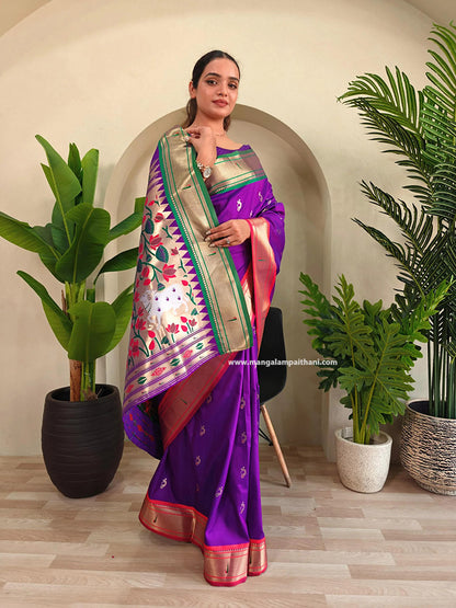 purple saree