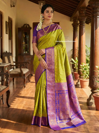 woman paithani saree