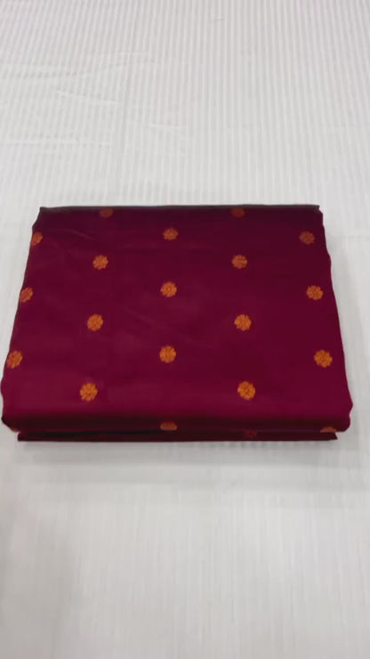 Kanjivaram Border Paithani #01